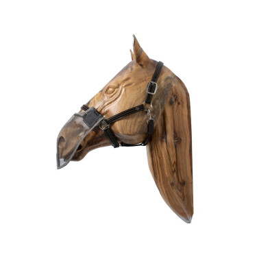 Kentucky neusriem Kentucky neusriem