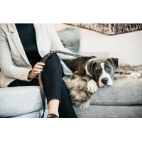 Hondenriem in handgemaakte Parels Kentucky Lichtblauw