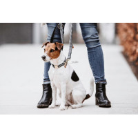 Hondenslaapzak Pied-de-poule Kentucky Zwart