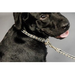 Hondenslaapzak Pied-de-poule Kentucky Bruin