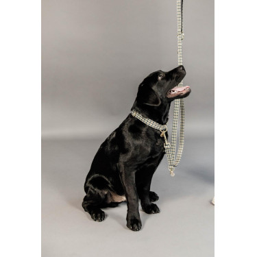 Hondenslaapzak Pied-de-poule Kentucky Bruin