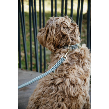 Hondenslaapzak Pied-de-poule Kentucky Bruin