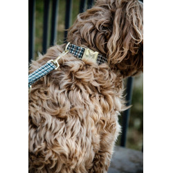 Hondenslaapzak Pied-de-poule Kentucky Bruin