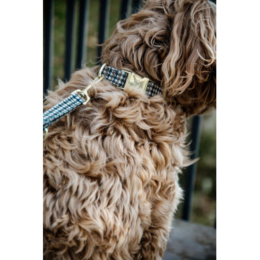 Hondenslaapzak Pied-de-poule Kentucky Bruin