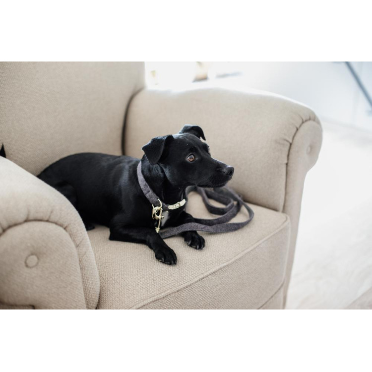 Wool Long Laisse voor hond Kentucky