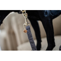 Wool Long Laisse voor hond Kentucky Lichtblauw Wool Long Laisse voor hond Kentucky Lichtblauw