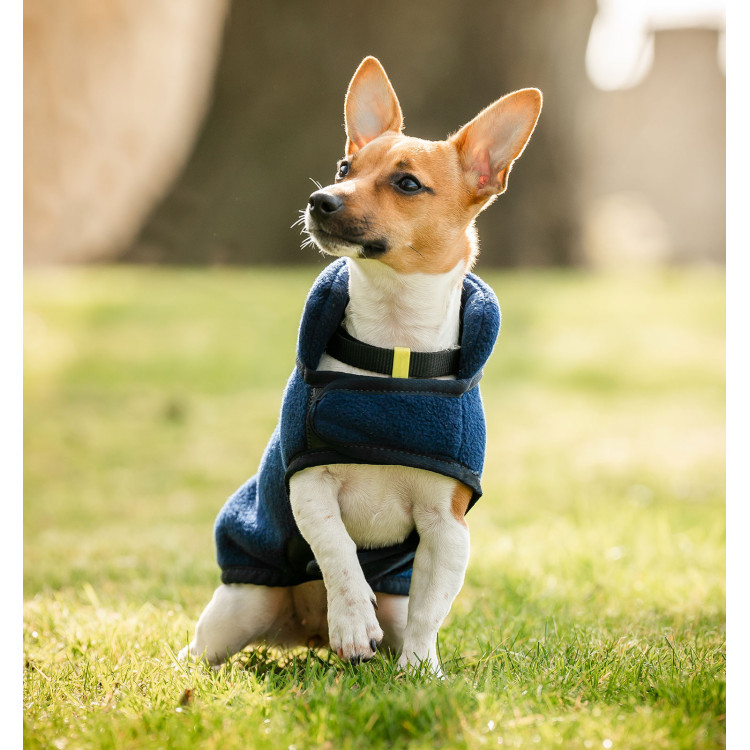 Polarfleece voor Hond Horseware® Signature zonder vulling