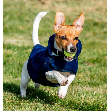Polarfleece voor Hond Horseware® Signature zonder vulling Polarfleece voor Hond Horseware® Signature zonder vulling