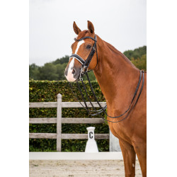 Dy'on collectie hoofdstel dressuur plat leer Lakneusriem Breed Wit Voering