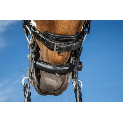 Dy'on collectie hoofdstel dressuur plat leer Lakneusriem Breed Wit Voering Zwart Dy'on collectie hoofdstel dressuur plat leer Lakneusriem Breed Wit Voering Zwart