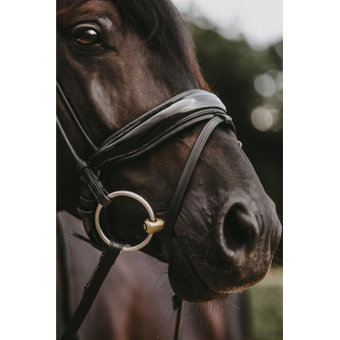 Bridon Dy'on collectie dressuur rond leer Combiné Neusriem Breed Gelakt Bridon Dy'on collectie dressuur rond leer Combiné Neusriem Breed Gelakt