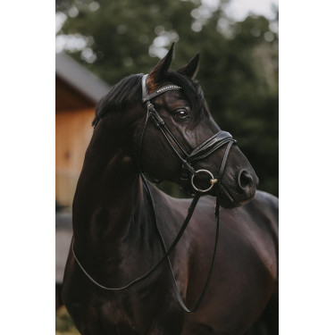 Bridon Dy'on collectie dressuur rond leer Combiné Neusriem Breed Gelakt Bridon Dy'on collectie dressuur rond leer Combiné Neusriem Breed Gelakt