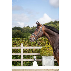 Bridon Dy'on collectie dressuur plat leer Gecombineerde Neusriem Breed Gelakt Witte Voering