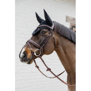 Bridon Dy'on D collectie gecombineerde neusriem gevlochten met Pull Back Bridon Dy'on D collectie gecombineerde neusriem gevlochten met Pull Back