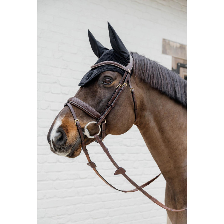 Bridon Dy'on D collectie gecombineerde neusriem gevlochten met Pull Back