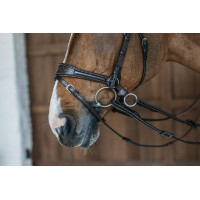 Bridon Working van Dy'on met bewegingsvrijheid Bruin