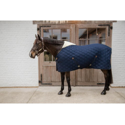 Comfort Staldeken Kentucky