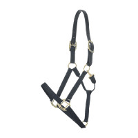Nylon Halster Breakaway Kentucky Zwart