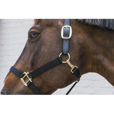 Nylon Halster Breakaway Kentucky Nylon Halster Breakaway Kentucky