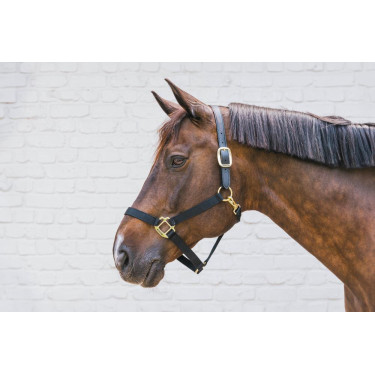 Nylon Halster Breakaway Kentucky Nylon Halster Breakaway Kentucky