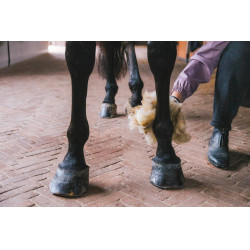 Laine thérapeutique 150g Grooming Deluxe by Kentucky Laine thérapeutique 150g Grooming Deluxe by Kentucky