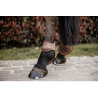 Diepe kogelbeschermer jonge paarden Kentucky Bruin