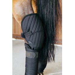 Onderstal- en Transportbandage met Bescherming voor de Sprong Kentucky Zwart Onderstal- en Transportbandage met Bescherming voor de Sprong Kentucky Zwart