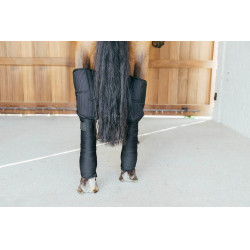 Onderstal- en Transportbandage met Bescherming voor de Sprong Kentucky Zwart Onderstal- en Transportbandage met Bescherming voor de Sprong Kentucky Zwart