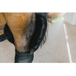 Onderstal- en Transportbandage met Bescherming voor de Sprong Kentucky Zwart Onderstal- en Transportbandage met Bescherming voor de Sprong Kentucky Zwart