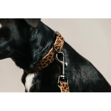 Halsband voor hond Luipaard Kentucky Bruin luipaard