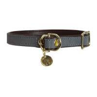 Halsband voor hond Loop Kentucky Grijs