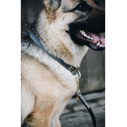 Halsband voor hond Loop Kentucky Grijs Halsband voor hond Loop Kentucky Grijs