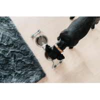 Hondenvoerbak Comfort Kentucky Poederblauw