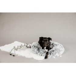 Hondenvoerbak Comfort Kentucky Stofgroen Hondenvoerbak Comfort Kentucky Stofgroen