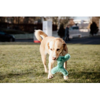 Speelgoed voor honden Pastel Bone Kentucky Smaragd