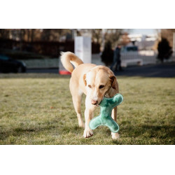 Speelgoed voor honden Pastel Bone Kentucky