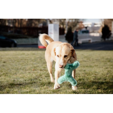 Speelgoed voor honden Pastel Bone Kentucky Smaragd Groen