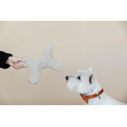 Speelgoed voor honden Pastel Bone Kentucky