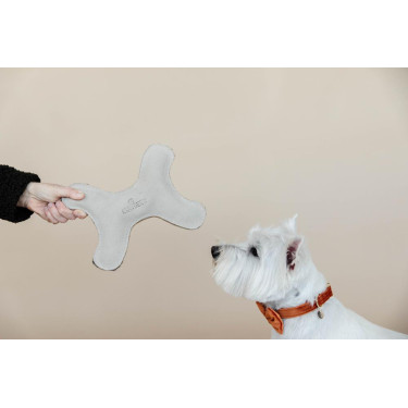 Speelgoed voor honden Pastel Bone Kentucky