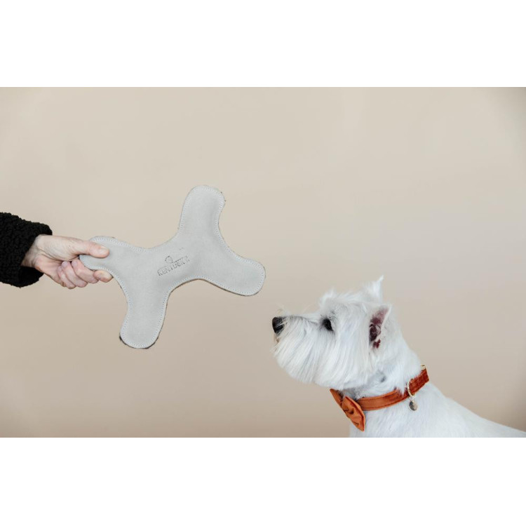 Speelgoed voor honden Pastel Bone Kentucky