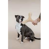 Hondenspeeltje Pastel Boemerang Kentucky Beige