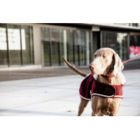 Hondenjas Heavy Fleece Kentucky Bordeaux