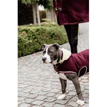 Hondenjas Heavy Fleece Kentucky Bordeaux