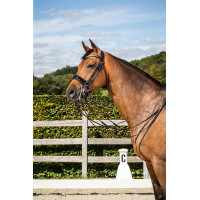 Trenshoofdstel Dy'on Muserolle Large Vernis collectie dressuur rond leder Zwart Trenshoofdstel Dy'on Muserolle Large Vernis collectie dressuur rond leder Zwart