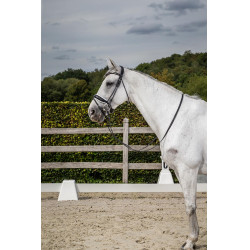Bridon Dy'on collectie dressuur rond leer Gecombineerde Neusriem Breed Gelakt Witte Voering