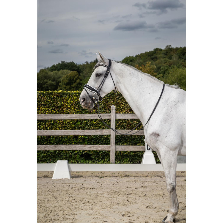 Bridon Dy'on collectie dressuur rond leer Gecombineerde Neusriem Breed Gelakt Witte Voering Bridon Dy'on collectie dressuur rond leer Gecombineerde Neusriem Breed Gelakt Witte Voering