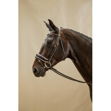 Bridon Working by Dy'on Combiné Neusriem Breed Vernis Witte Voering Bruin