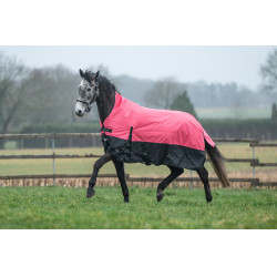 HKM Norwich highneck deken 600D 300g Koraal / zwart Rood HKM Norwich highneck deken 600D 300g Koraal / zwart Rood