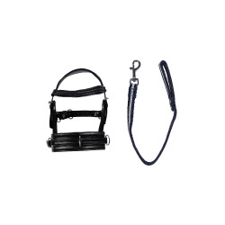 Set longe Cuddle Pony HKM Set longe Cuddle Pony HKM
