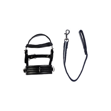 Set longe Cuddle Pony HKM Set longe Cuddle Pony HKM